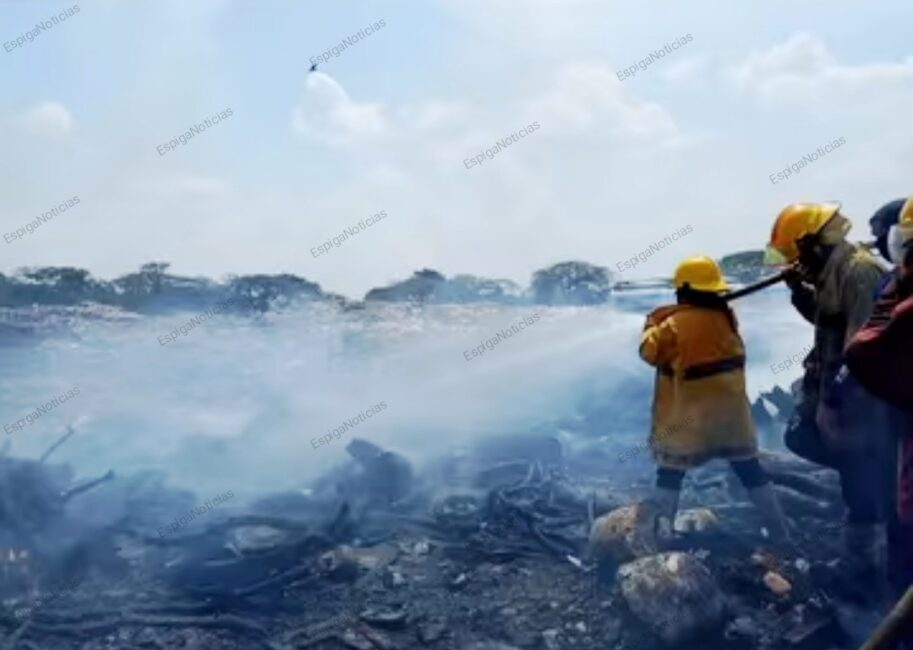 Efectivos de los bomberos en plena extinción del incendio en el vertedero municipal.